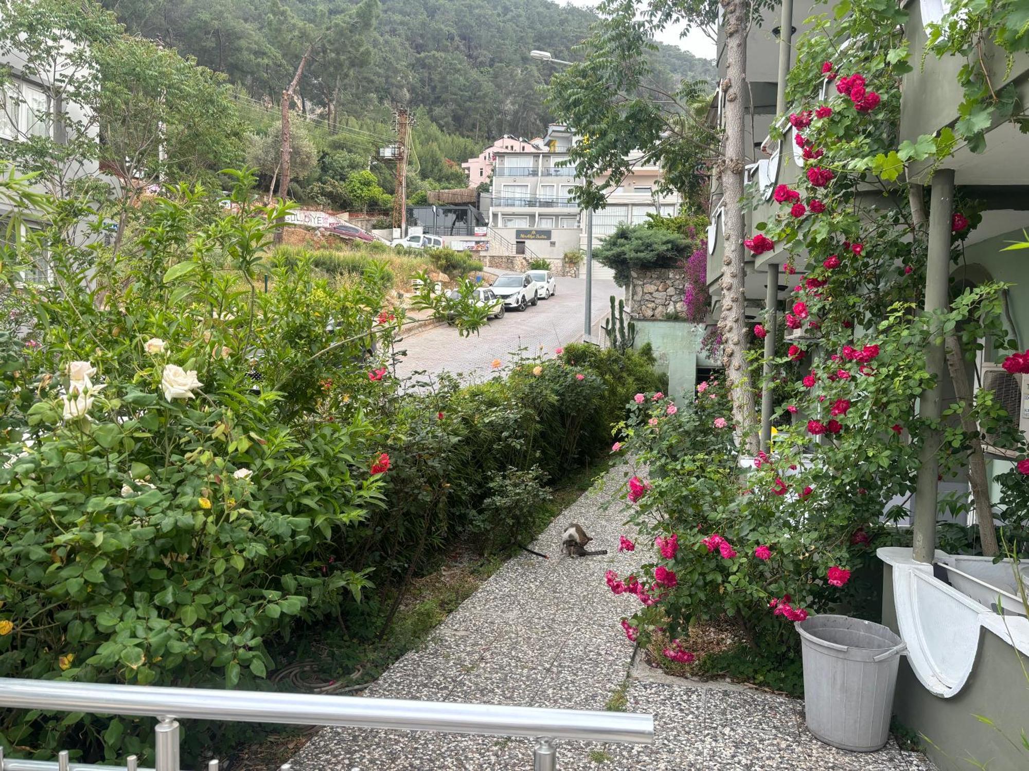 Ideal Pension Fethiye Esterno foto